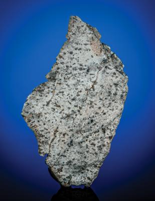 Lot #3714 NWA 10416 Martian Meteorite Slice