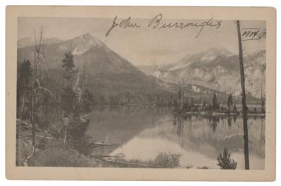 Lot #641 John Burroughs Signed Postcard