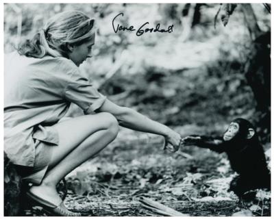 Lot #254 Jane Goodall Signed Photograph