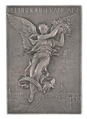 Lot #6009 Paris 1900 Olympics Silvered Bronze Winner's Medal for Physical Exercises