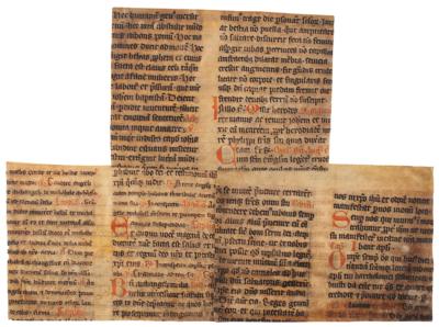 Lot #204 Religion (3) 14th Century Mediæval Breviary Leaves - Image 2