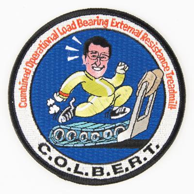 Lot #7648 STS-128 COLBERT Patch