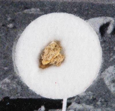 Lot #7821 Al Worden's NWA 4483 Lunar Meteorite Fragment - Image 2