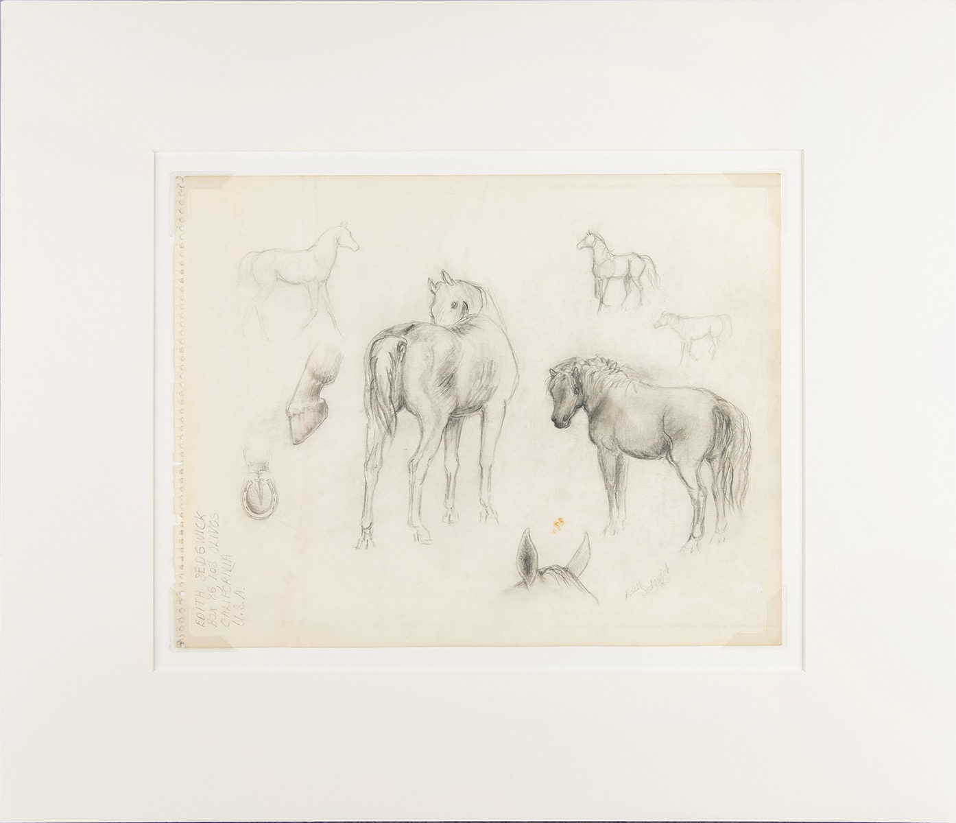 Lot #8024 Edie Sedgwick Original Horses Model Sketch (1960)
