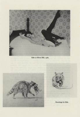 Lot #8029 Edie Sedgwick Original Raccoons Sketch (1962) - Image 4