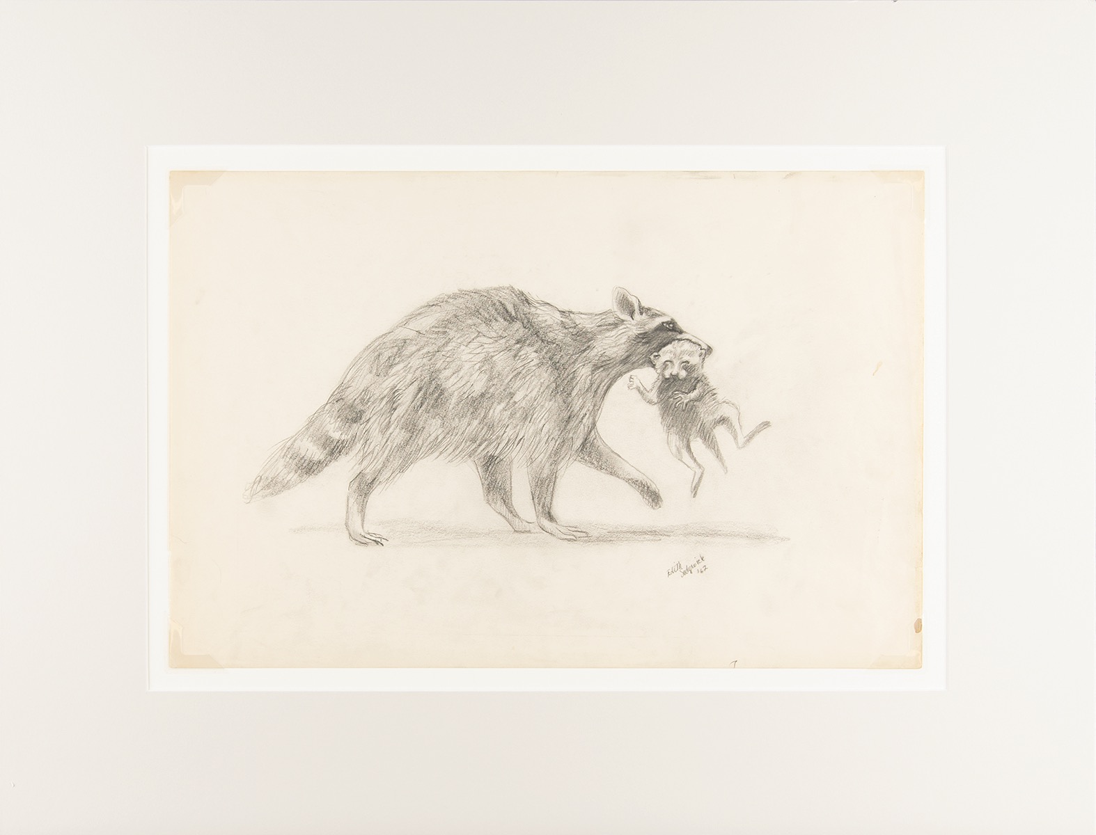 Lot #8029 Edie Sedgwick Original Raccoons Sketch (1962)