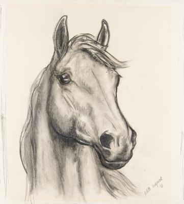 Lot #8028 Edie Sedgwick Original Horse Sketch (1961) - Image 2
