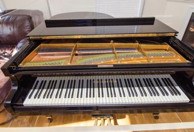 Lot #8267 Billy Joel's Stage-Used C. Bechstein Model M Grand Piano - Image 11