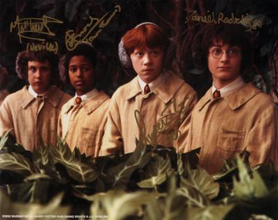 Lot #829 Harry Potter Multi-Signed Photograph