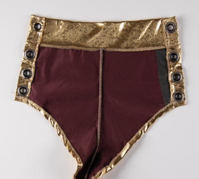 Lot #8176 Mayte Garcia's Stage-Worn Gold Mini-Shorts from the 1995 American Music Awards - Image 4