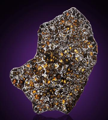 Lot #9940 Admire Pallasite Meteorite Complete Slice