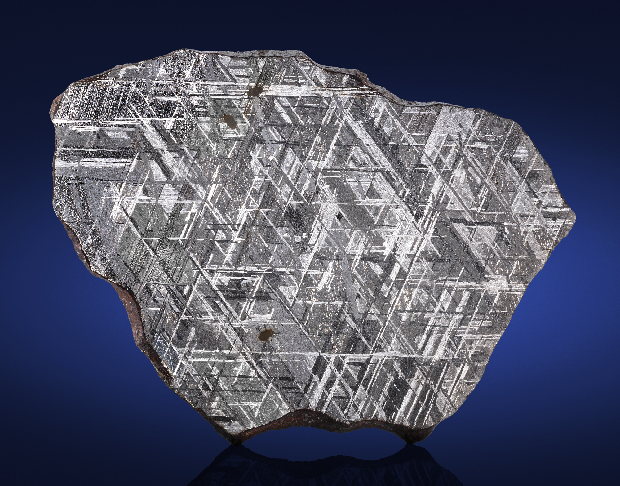 Lot #9944 Gibeon Meteorite Complete Slice