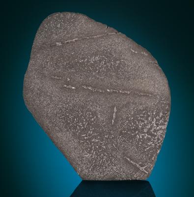 Lot #9957 NWA 12767 Ungrouped Iron Meteorite Partial Slice