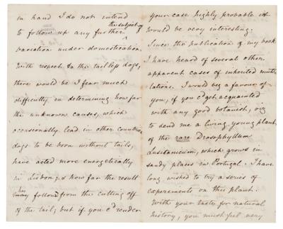 Lot #180 Charles Darwin Archive of (4) Signed Scientific Letters on Tailless Dogs and Carnivorous Plants - Image 2