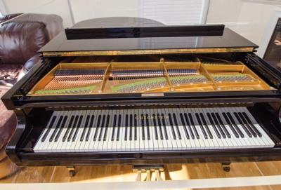 Lot #3246 Billy Joel's Stage-Used C. Bechstein Model M Grand Piano - Image 11
