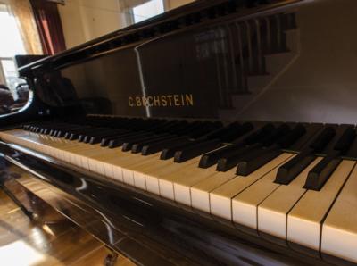 Lot #3246 Billy Joel's Stage-Used C. Bechstein Model M Grand Piano - Image 12