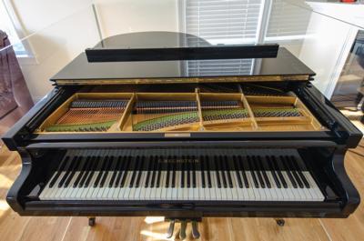 Lot #3246 Billy Joel's Stage-Used C. Bechstein Model M Grand Piano - Image 7