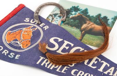 Lot #6100 Secretariat: 16-inch Length of Tail Hair and Diamond Horseshoe - Image 1