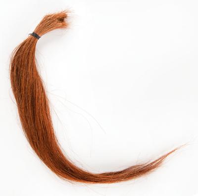 Lot #6100 Secretariat: 16-inch Length of Tail Hair and Diamond Horseshoe - Image 2