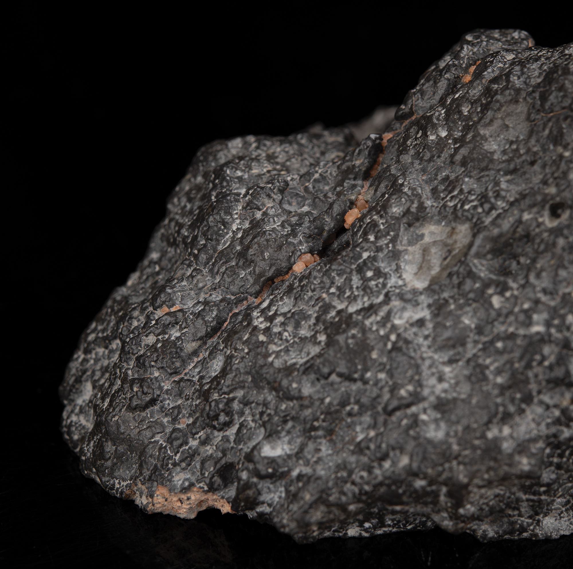 Lot #6064 NWA 13951 Lunar Meteorite 'Starry Night' End Cut - Image 10