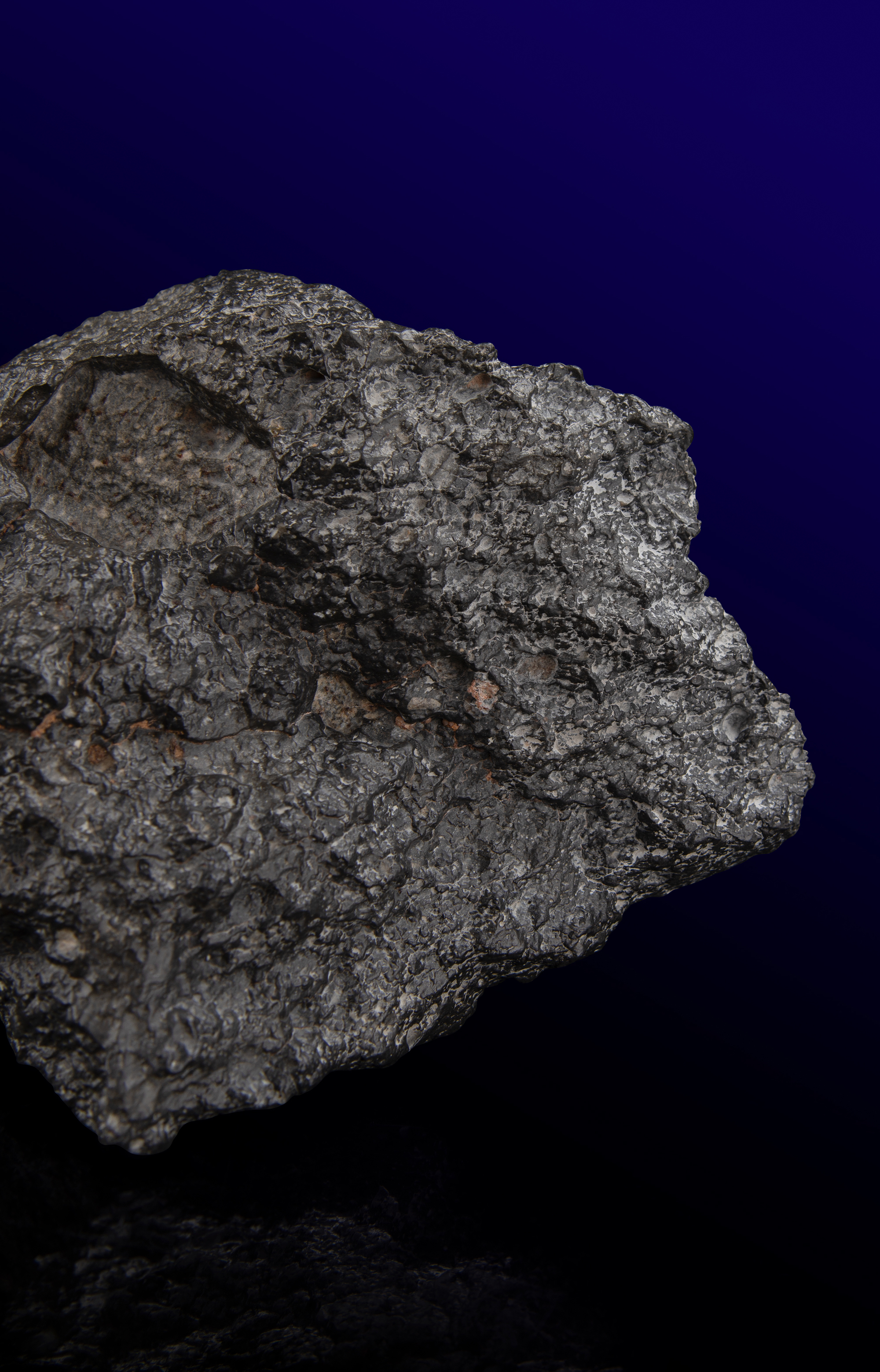 Lot #6064 NWA 13951 Lunar Meteorite 'Starry Night' End Cut - Image 6