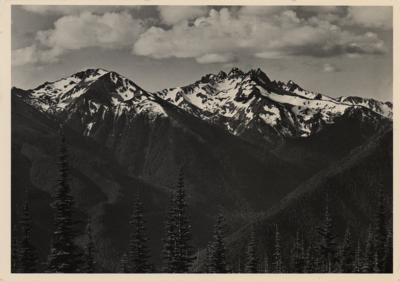 Lot #428 Ansel Adams Signed Postcard - Image 2