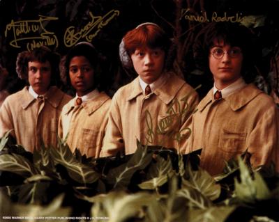Lot #627 Harry Potter Multi-Signed Photograph