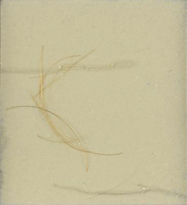 Lot #45 John F. Kennedy's Lock of Hair - Image 2