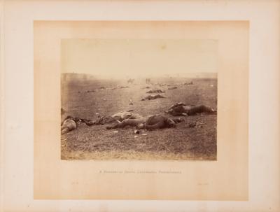 Lot #331 Gettysburg: 'A Harvest of Death,'