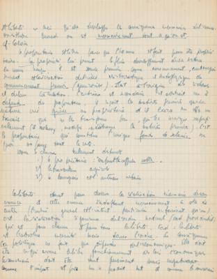 Lot #445 Jean-Paul Sartre Lengthy (19-page) Handwritten Manuscript on 'Property (Ideology)' - Image 17