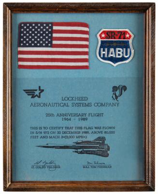 Lot #286 Lockheed SR-71 Habu Flown American Flag