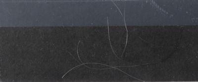 Lot #250 Robert E. Lee Document Signed and Hair Strands - Image 4
