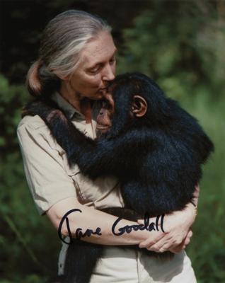 Lot #141 Jane Goodall Signed Photograph