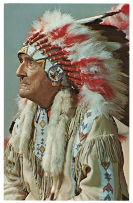 Lot #208 Chief Red Fox Signed Postcard - Image 2