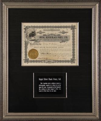 Lot #316 Royal Silver Black Foxes Stock Certificate - Image 1