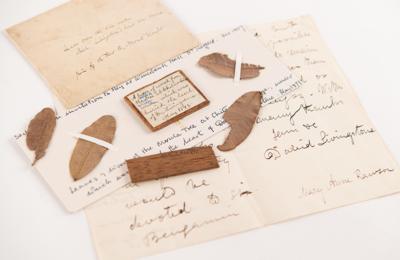 Lot #235 David Livingstone Autograph Letter Signed with Wood and Leaves "from the tree under which was buried the heart of Dr. Livingstone" - Image 1