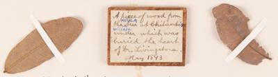 Lot #235 David Livingstone Autograph Letter Signed with Wood and Leaves "from the tree under which was buried the heart of Dr. Livingstone" - Image 5