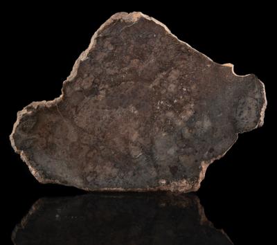 Lot #6516 NWA 12265 Asteroid 4 Vesta Meteorite Slice - Image 1