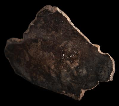 Lot #6516 NWA 12265 Asteroid 4 Vesta Meteorite Slice - Image 3