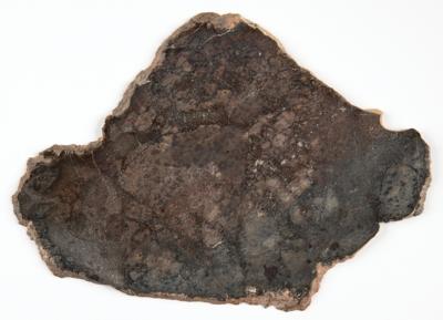 Lot #6516 NWA 12265 Asteroid 4 Vesta Meteorite Slice - Image 5