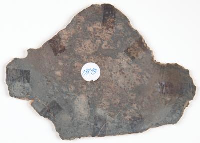 Lot #6516 NWA 12265 Asteroid 4 Vesta Meteorite Slice - Image 6