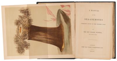 Lot #169 Aquatic Interest Books: A Manual of the Sea-Anemones and The Family Aquarium - Image 2