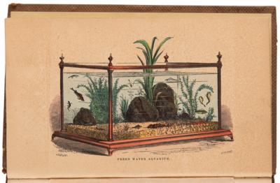 Lot #169 Aquatic Interest Books: A Manual of the Sea-Anemones and The Family Aquarium - Image 4