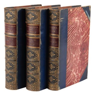 Lot #287 Alfred Russel Wallace First Edition Books - The Geographical Distribution of Animals and Island Life - Image 1