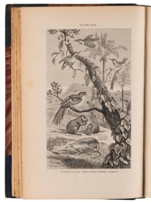 Lot #287 Alfred Russel Wallace First Edition Books - The Geographical Distribution of Animals and Island Life - Image 5