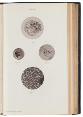 Lot #173 Photo-Micrographs and How to Make Them by George M. Sternberg - Image 4