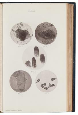 Lot #173 Photo-Micrographs and How to Make Them by George M. Sternberg - Image 5