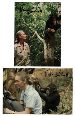 Lot #223 Jane Goodall (2) Signed Photographs