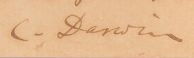 Lot #346 Charles Darwin Autograph Letter Signed on The Descent of Man: "My book has been almost too much for me" - Image 2