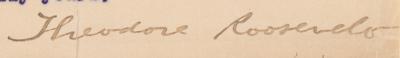 Lot #62 Theodore Roosevelt Typed Letter Signed as Vice President-Elect - “I am not well contented with these conventions, and I think I shall depart from them somewhat” - Image 2